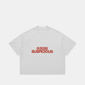 Spring 1 / S2026 Tee - Ash