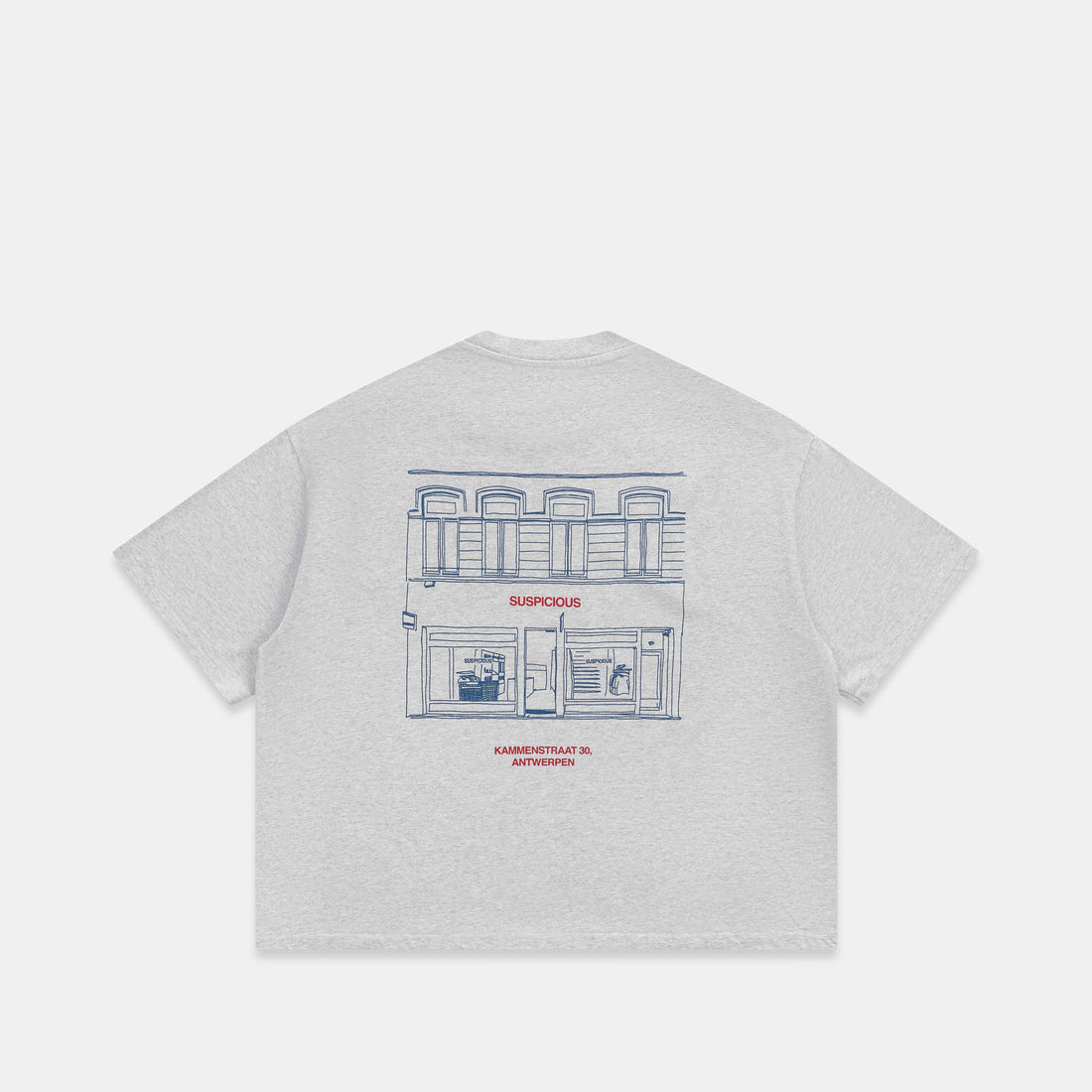 ANT Exclusive / The ANT Store Boxy Tee  - Neutral Heather - XXS