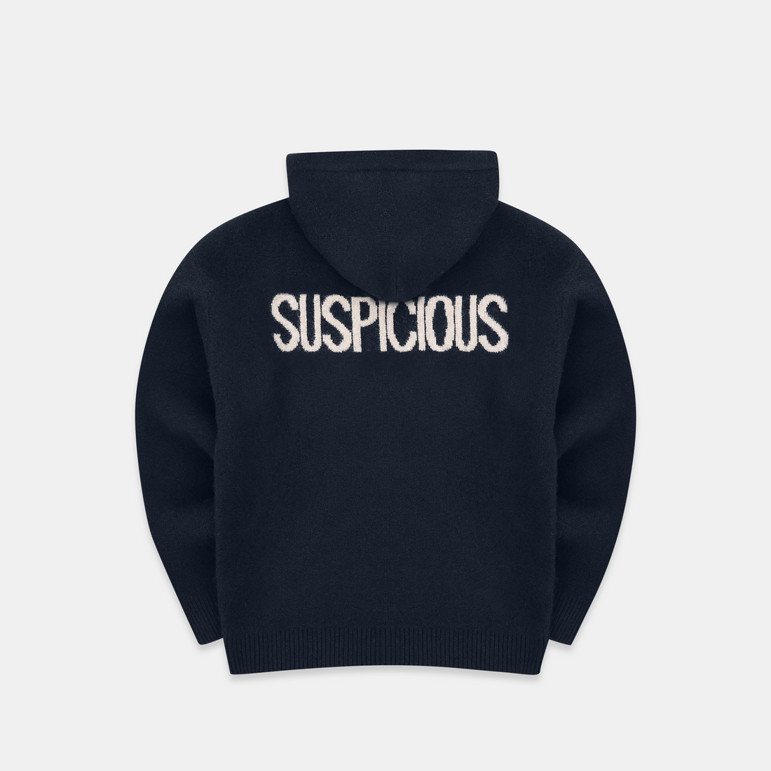PL / The Suspicious Knitted Hoodie - Navy